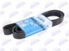 BTA B08-8PK1920 V-Ribbed Belts